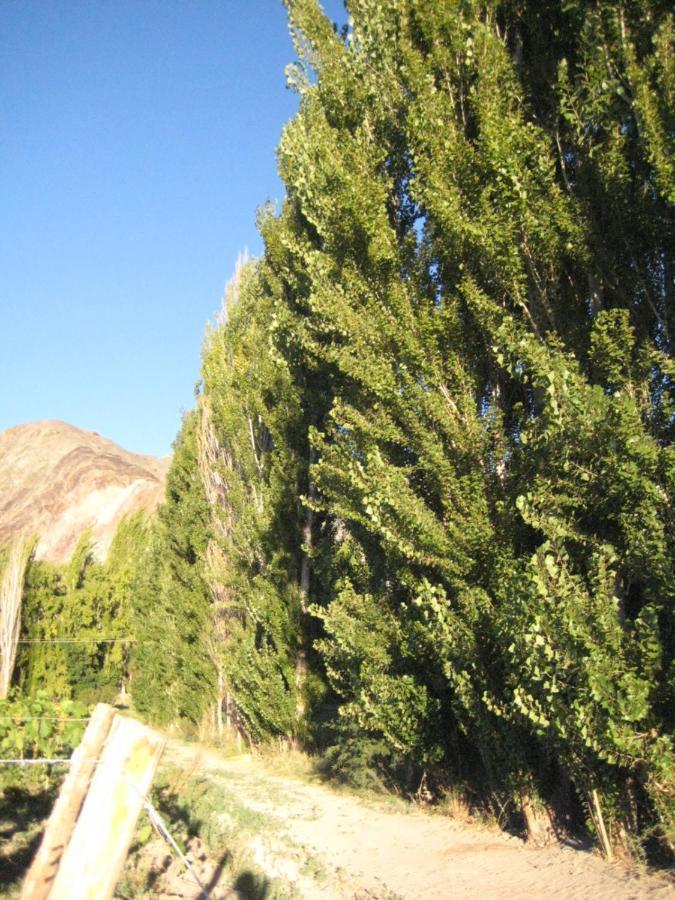 Tierra Calma Casa 2 Chalet *